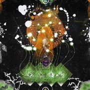 Buy Vertical Luminous