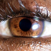 Buy It's Dreaming - White Vinyl