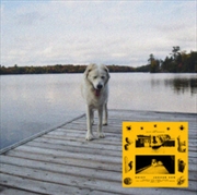 Buy Daisy - Black/Yellow Swirl Vinyl