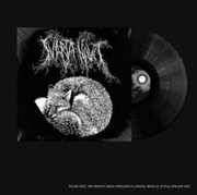 Buy Manen Ska Lysa Din Vag