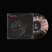 Buy Nets To Catch The Wind