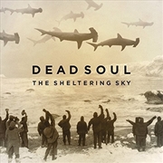 Buy Sheltering Sky