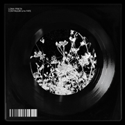 Buy Continuum / Fate