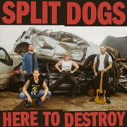 Buy Here To Destroy - Red & Black Splatter Vinyl