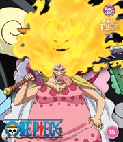 Buy One Piece Collection 36