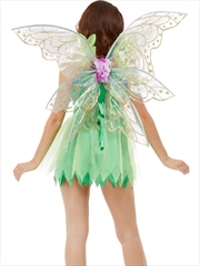 Buy Pretty Pixie Fairy Wings, Adult