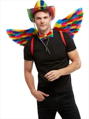Buy Rainbow Feather Wings, Adult