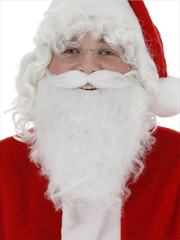 Buy Santa Beard - Adult