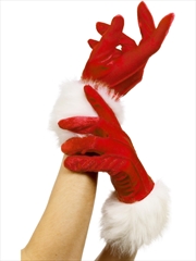 Buy Santa Gloves, Adult