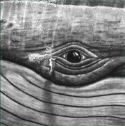 Buy While I Sit & Watch This Tree Vol 1