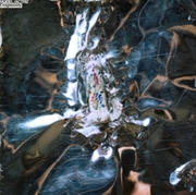 Buy Dogsbody