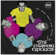 Buy The Alternative Chirping Crickets