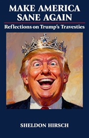 Buy Make America Sane Again : Reflections on Trump’s Travesties