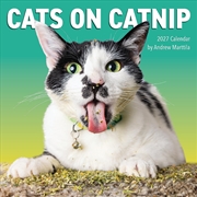 Buy Cats On Catnip Wall Calendar 2027