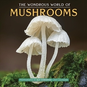 Buy The Wondrous World Of Mushrooms Wall Calendar 2027