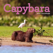 Buy Capybara Wall Calendar 2027