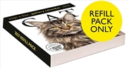 Buy Cat Page-A-Day Gallery Calendar Refill Pack 2027
