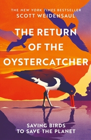 Buy The Return of the Oystercatcher : Saving Birds to Save the Planet