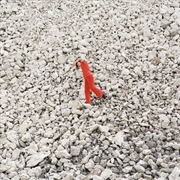 Buy L'Uso E Gli Attributi Del Cuore