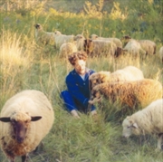 Buy Themes For Dreams