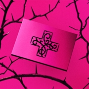 Buy 7th Year: A Moment Of Stillness In The Thorns