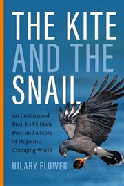 Buy The Kite and the Snail