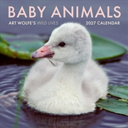 Buy 2027 Baby Animals Wall Calendar