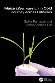 Buy Maize (Zea mays L.) in Cold