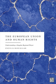 Buy The European Union And Human Rights: Understanding A Singular Regional Player