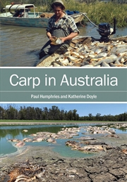 Buy Carp In Australia