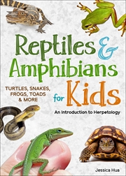 Buy Reptiles & Amphibians for Kids