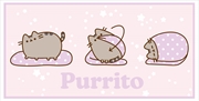 Buy Pusheen - Purrito - Light Up Canvas