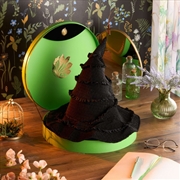 Buy Wicked - Elphaba's Hat Replica (Collectors Box)