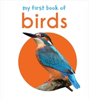 Buy My First Book of Birds : First Board Book