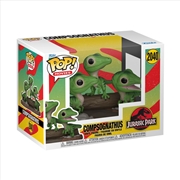 Buy Jurassic Park - Compys Pop! Premium