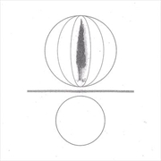 Buy Spheres Collapser