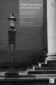 Buy Public Procurement and Contract Law: Exploring Intersections, Defining Boundaries