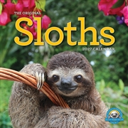 Buy Original Sloths Wall Calendar 2027