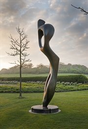Buy Henry Moore: Monumental Nature