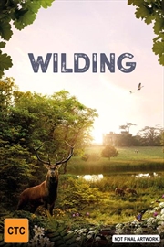 Buy Wilding