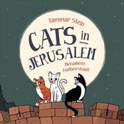 Buy Cats in Jerusalem