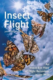 Buy Insect Flight