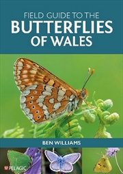 Buy Field Guide to the Butterflies of Wales