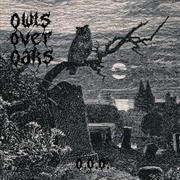 Buy Owls Over Oaks