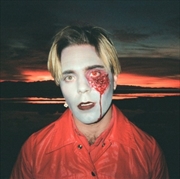 Buy Gathering Swans - Grey Marble