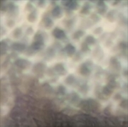 Buy Ourselves As We Are