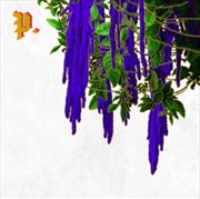 Buy Great American Novel - Bone &