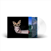 Buy All Systems Are Lying - Transp