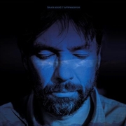 Buy Luminescence