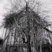 Buy Dead Decades (Silver Vinyl)